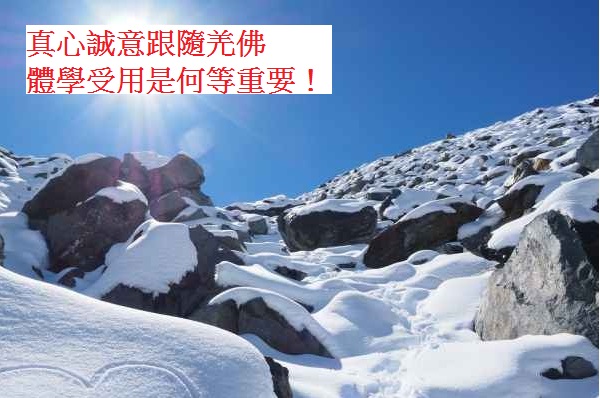 學習H.H.第三世多杰羌佛佛法-真心誠意跟隨羌佛體學受用是何等重要