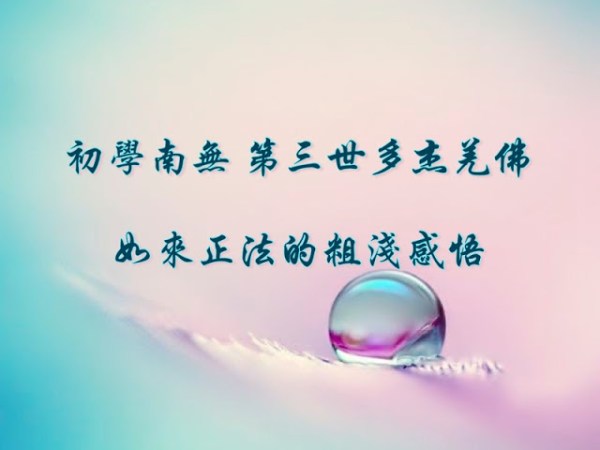 初學南無 第三世多杰羌佛  如來正法的粗淺感悟