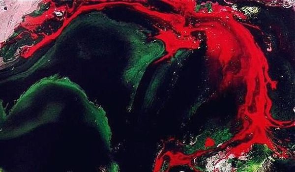 學習H.H.第三世多杰羌佛正法