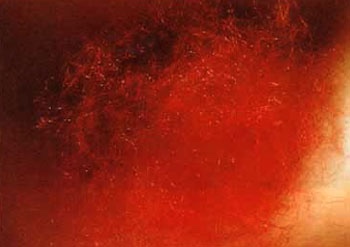 所修紅菩提甘露由阿彌陀佛降在紫金缽中 所修紅菩提甘露由阿彌陀佛降在紫金缽中