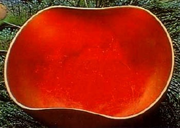 所修紅菩提甘露由阿彌陀佛降在紫金缽中 所修紅菩提甘露由阿彌陀佛降在紫金缽中