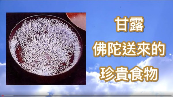 甘露--佛陀送來的珍貴食物 摘錄自《聖僧鐵記》 甘露--佛陀送來的珍貴食物 摘錄自《聖僧鐵記》