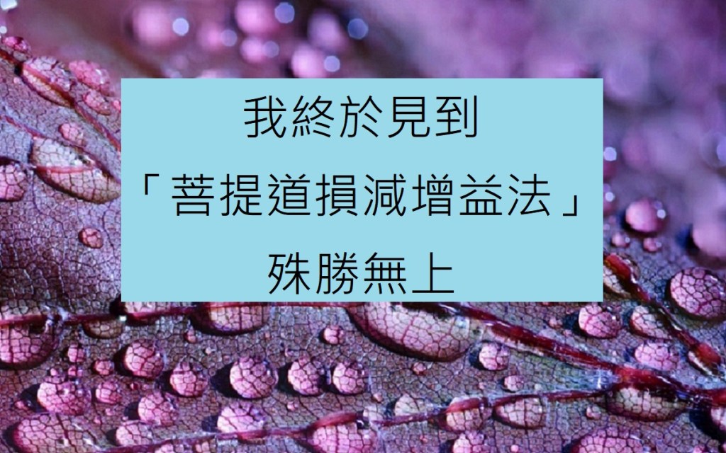 菩提道損減增益法